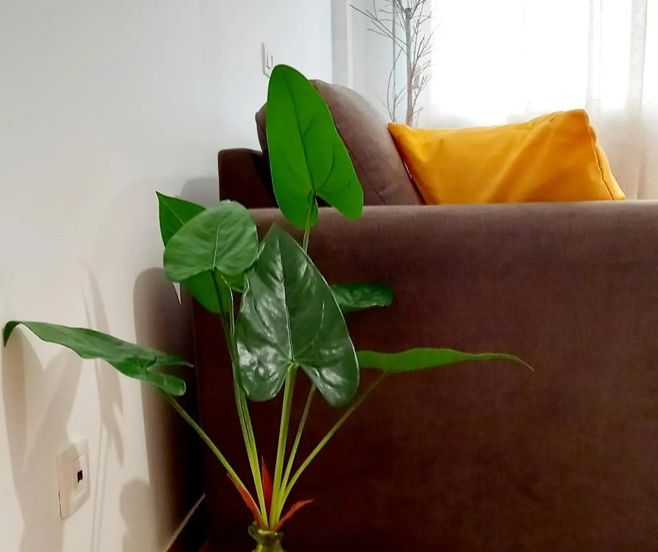 Greenhouse Sardina Apartamento